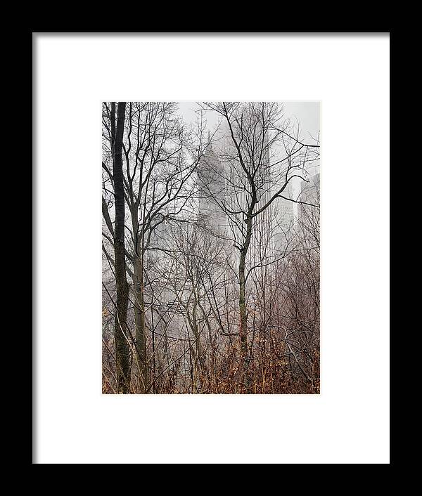 Central Park Framed Print featuring the photograph Urban Winter Scene by Cate Franklyn