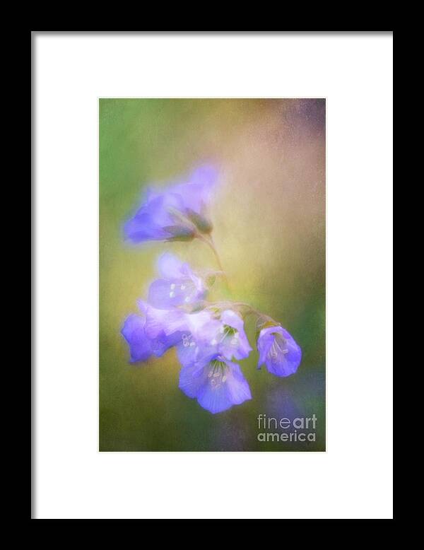 Flowers Framed Print featuring the photograph Valerian with a Soft Touch by Anita Pollak