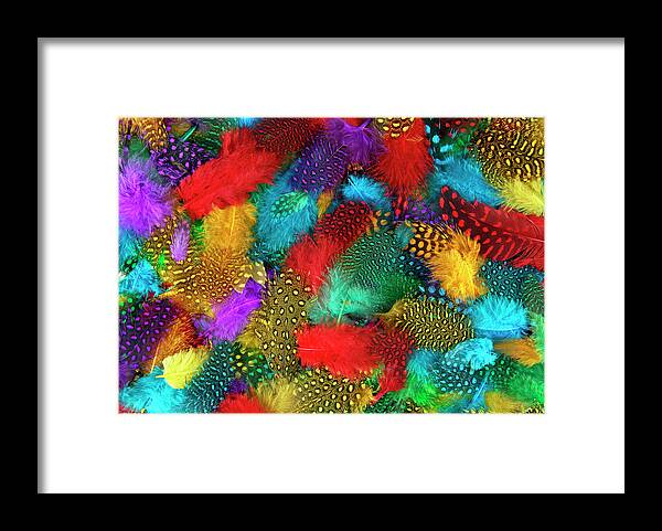 Feathers Framed Print featuring the photograph Various color feather background by Severija Kirilovaite