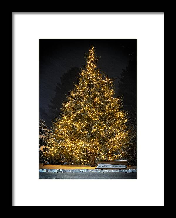 Christmas Framed Print featuring the photograph Vermont Christmas Tree by Rod Best