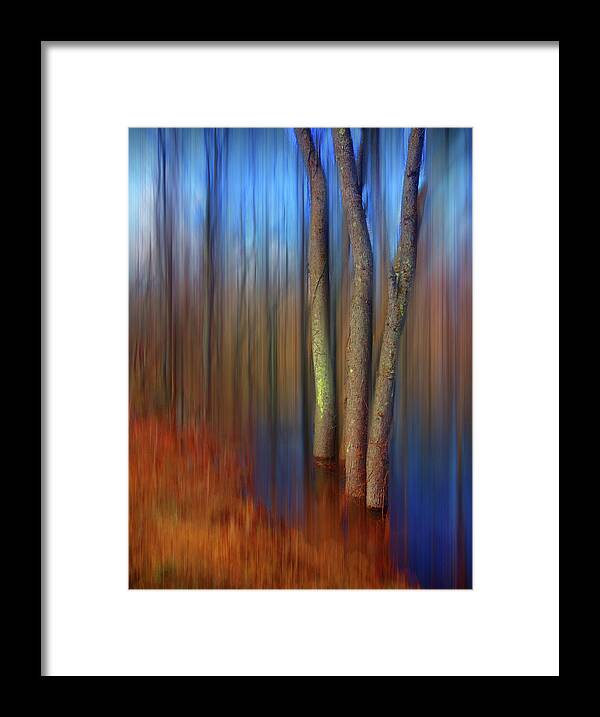 Ash Framed Print featuring the photograph Vibrant Reflections in a Floodplain Forest by Wayne King