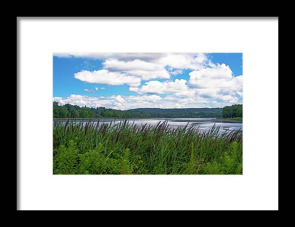 Water Framed Print featuring the photograph View through the weeds by Jim Feldman