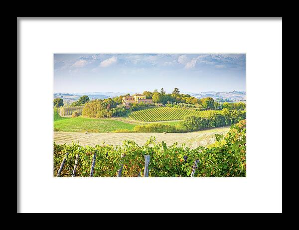 Tuscany Photography Framed Print featuring the photograph Vineyard in Tuscany by Marla Brown