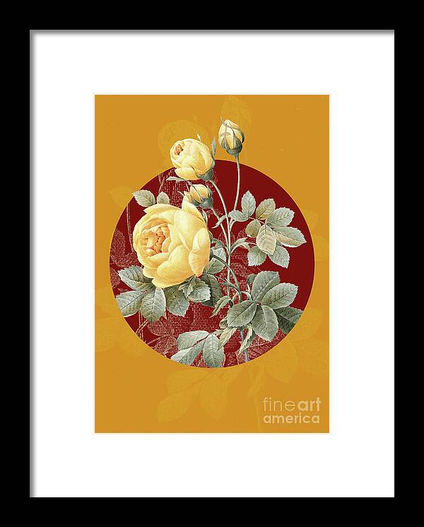 Vintage Framed Print featuring the painting Vintage Botanical Yellow Rose on Circle Red on Yellow by Holy Rock Design