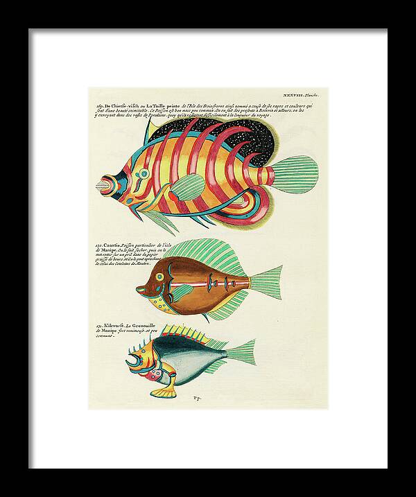 Fish Framed Print featuring the digital art Vintage, Whimsical Fish and Marine Life Illustration by Louis Renard - Chietse Visch, Caantie by Louis Renard