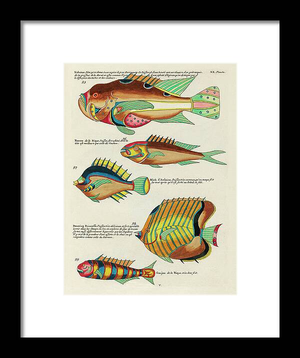 Fish Framed Print featuring the digital art Vintage, Whimsical Fish and Marine Life Illustration by Louis Renard - Kakatoe, Douwing Princesse by Studio Grafiikka