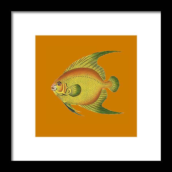 Vintage Yellow Fish Framed Print featuring the drawing Vintage Yellow Fish T Shirt Design by Bellesouth Studio