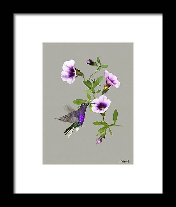 Hummingbird Framed Print featuring the digital art Violet Sabrewing Hummingbird by M Spadecaller
