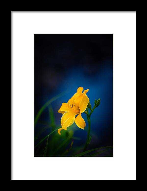 Blurred Motion Framed Print featuring the photograph Vivid by Dustin Abbott