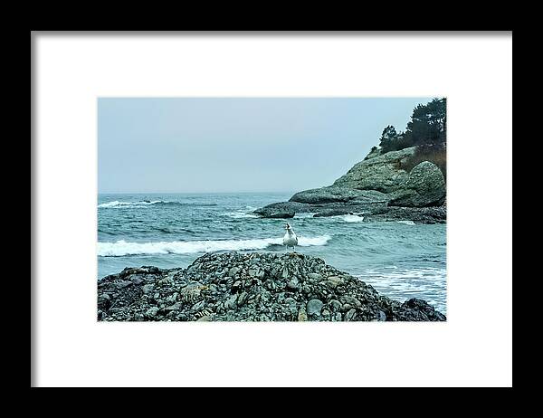 Rhode Island Framed Print featuring the photograph Voice in the Wilderness by Nancy De Flon