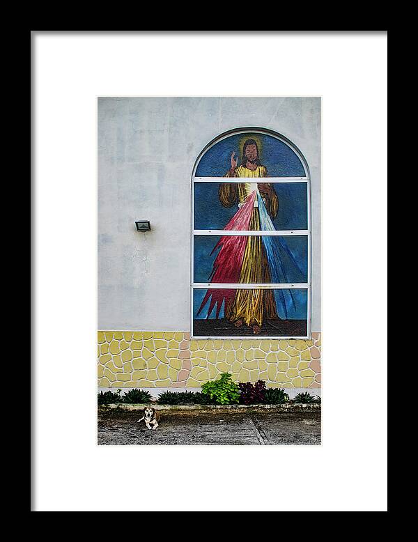 Dog Framed Print featuring the photograph Waiting for Grace by Wayne King