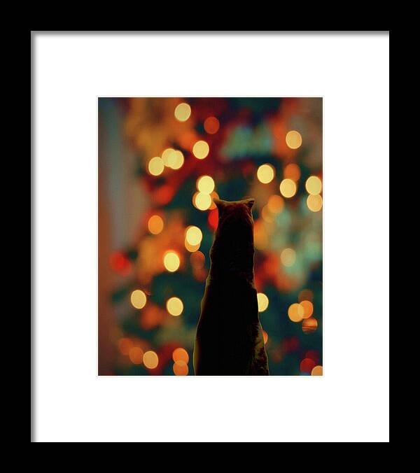 Animal Framed Print featuring the digital art Waiting for Santa-Dog and Christmas Lights by Shelli Fitzpatrick