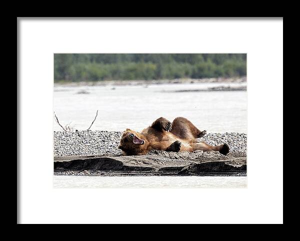 Alaska Framed Print featuring the photograph Waking up on the Sandbar by Cheryl Strahl