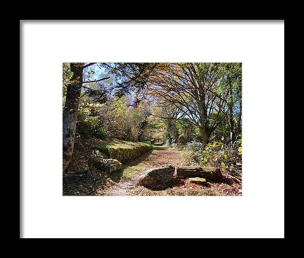 Autumn Framed Print featuring the photograph Walk With Me by Allen Nice-Webb