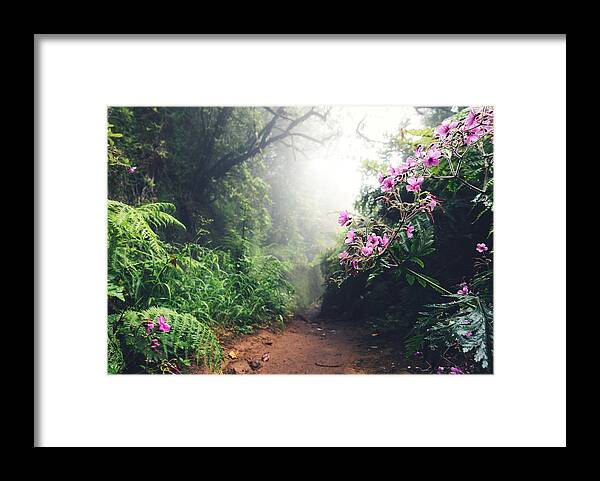 Scenics Framed Print featuring the photograph Walking Path On Madeira Island by Borchee