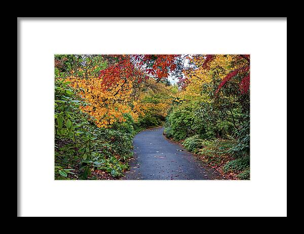 Alex Lyubar Framed Print featuring the photograph Walking path through the autumn park by Alex Lyubar