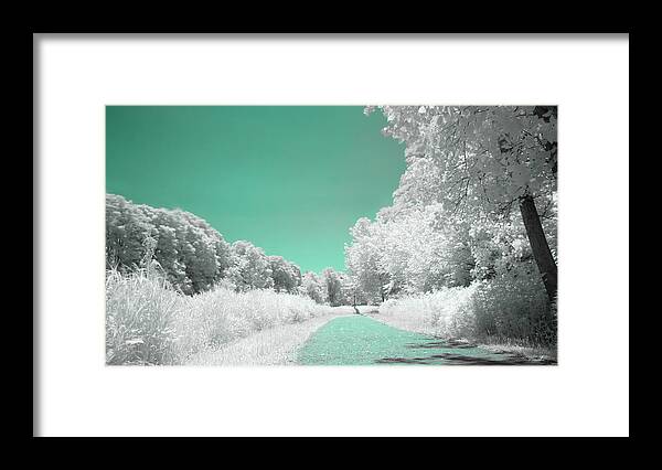 Infrared Framed Print featuring the photograph Walking Through the White Infrared Forest by Auden Johnson
