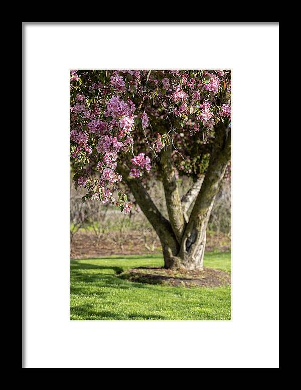 Spring Framed Print featuring the photograph Warm Embrace by Kim Sowa