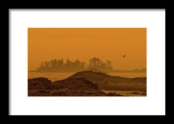 Tofino Framed Print featuring the photograph Warm Glow by CR Courson
