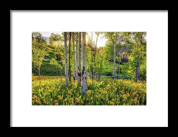 Nature Framed Print featuring the photograph Warm Spring Morning by Leland D Howard
