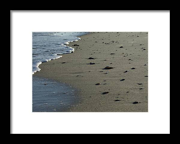  Framed Print featuring the photograph Washed Ashore by Heather E Harman