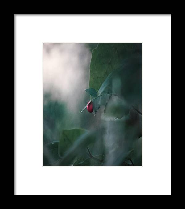 Natura Framed Print featuring the photograph Washed Away by Auranatura Art
