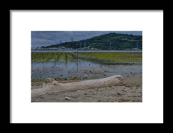 Log Framed Print featuring the photograph Washed up by Eric Hafner