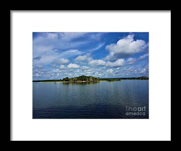 Photography Framed Print featuring the photograph Washington Oaks State Park by Jimmy Clark