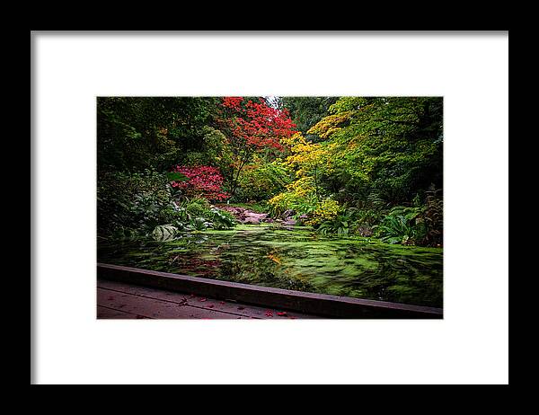 Fall Colors Framed Print featuring the photograph Washington Park Arboretum Fall Colors by Matt McDonald