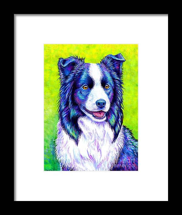 Border Collie Framed Print featuring the painting Watchful Eye - Colorful Border Collie Dog by Rebecca Wang
