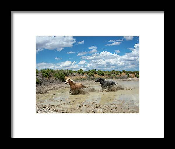 Face Mask Framed Print featuring the photograph Water Chase Blue Sky by Dirk Johnson