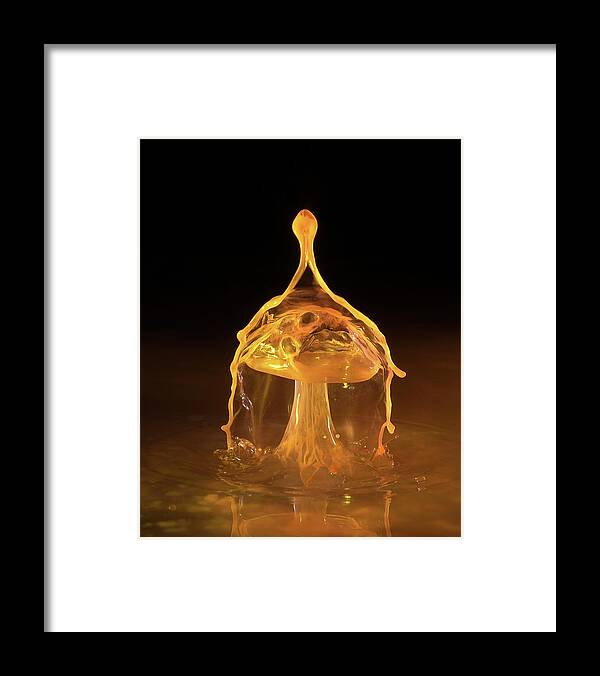 Water Framed Print featuring the photograph Water Drop Mushroom by Deborah Ritch