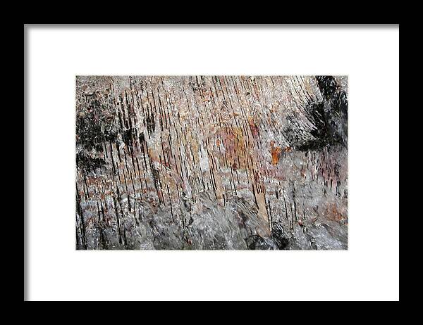 Birch Tree Framed Print featuring the photograph Water Flow Birch by Dylan Punke
