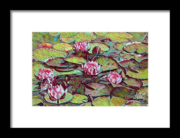 Lotus Framed Print featuring the digital art Water Lilies Lotus by Elaine Berger