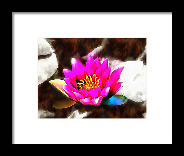 Water Lily Framed Print featuring the mixed media Water Lily by Christopher Reed