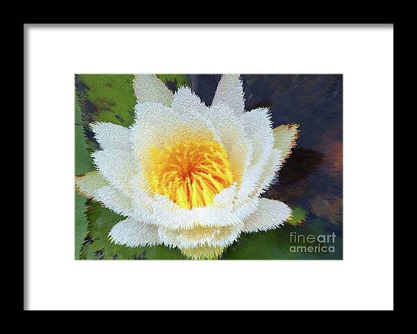 Water Lily Framed Print featuring the digital art Water Lily by Patti Powers