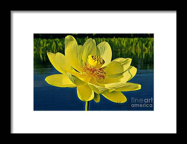 Water Framed Print featuring the painting Water Lotus by Marilyn Smith