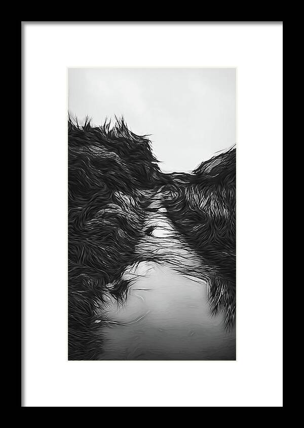 Water Framed Print featuring the photograph Water of Darkness by David Letts