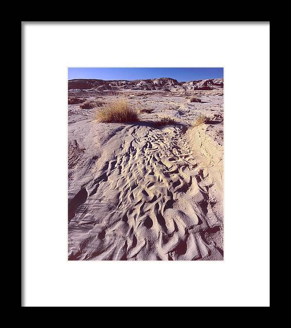 New Mexico Framed Print featuring the photograph Water Tracks by Tom Daniel