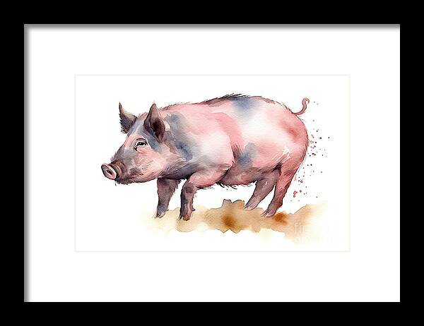 Pig Framed Print featuring the painting Watercolor single wild boar pig animal isolated on a white backg by N Akkash