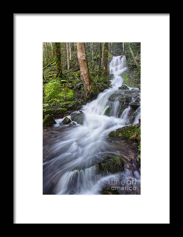 Tremont Framed Print featuring the photograph Waterfall In The Smokies 3 by Phil Perkins