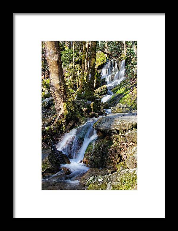 Tennessee Framed Print featuring the photograph Waterfall In The Smokies by Phil Perkins