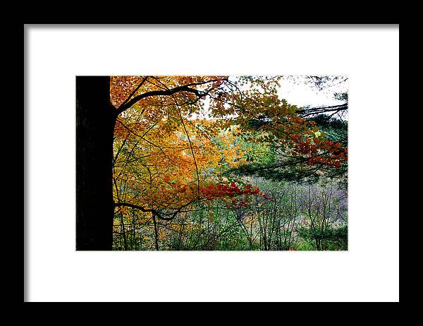 Autumn Framed Print featuring the photograph Waves of Autumn by Kristin Hatt