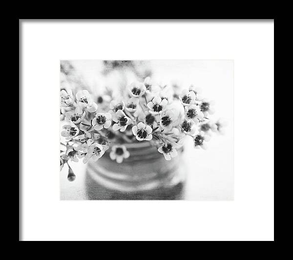 Flowers Framed Print featuring the photograph Wax Flowers by Lupen Grainne