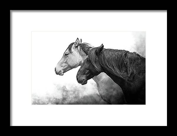 Wild Horses Framed Print featuring the photograph We are the Storm by Mary Hone