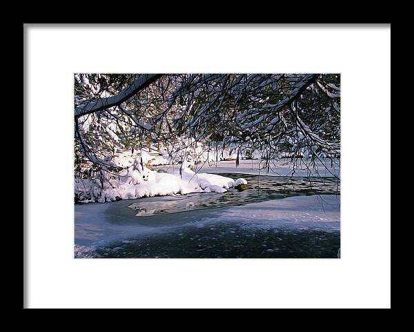 Winter Framed Print featuring the painting Web of Snow by Garth Glazier