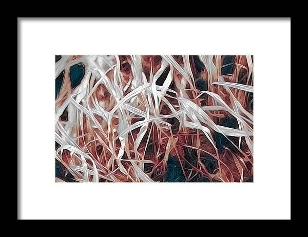 Weeds Framed Print featuring the photograph Weed Paint by Jim Signorelli