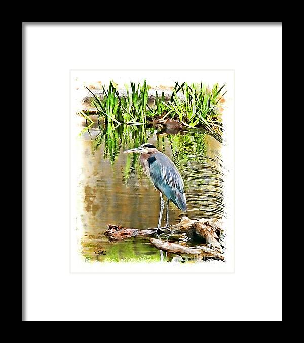 Heron Framed Print featuring the digital art West Bend Heron by Stacey Carlson