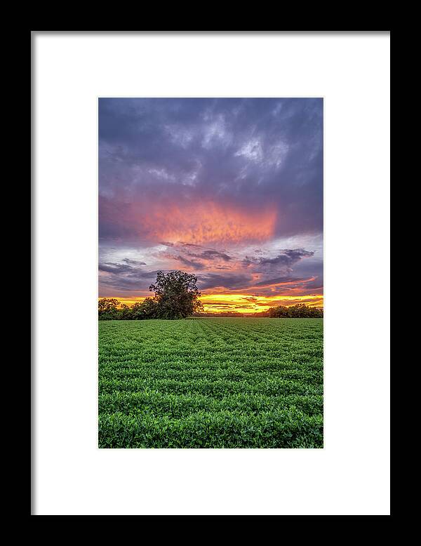 Sunset Framed Print featuring the photograph West Mobile Sunset, 8/23/20 by Brad Boland
