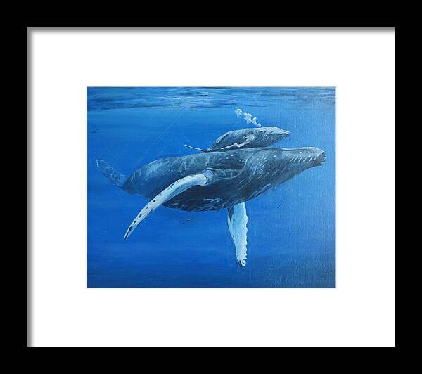 Whale Framed Print featuring the painting Whale and baby Whale by Vincent Cricchio